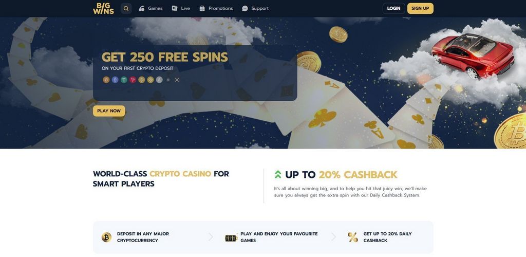 BigWins Gambling Establishment Testimonial & Rankings by Real Players - 2025